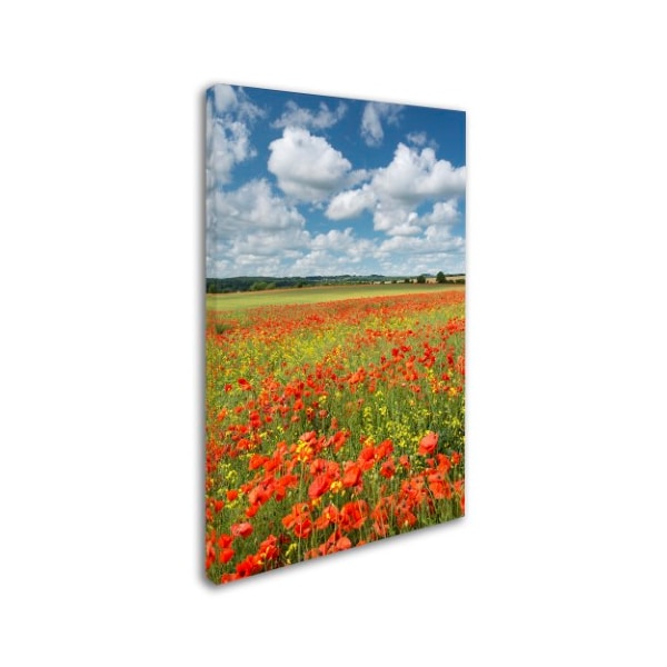 Adam Burton 'Colours Of Summer' Canvas Art,22x32